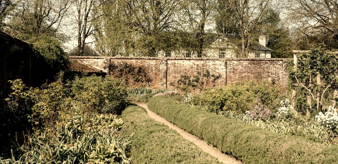 A winding path through a lush garden with brick wall.