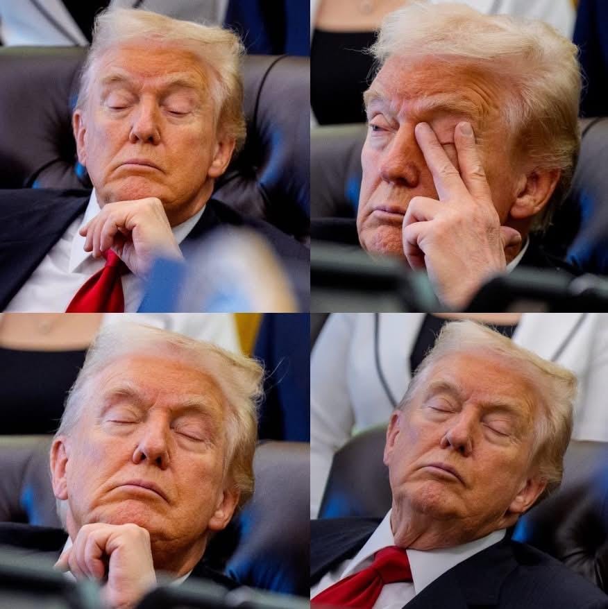 Donald 'Dozy Don' Trump falling asleep during an Oval Office meeting this week : r/pics Donald 'Dozy Don' Trump falling asleep during an Oval Office meeting this week : r/pics
