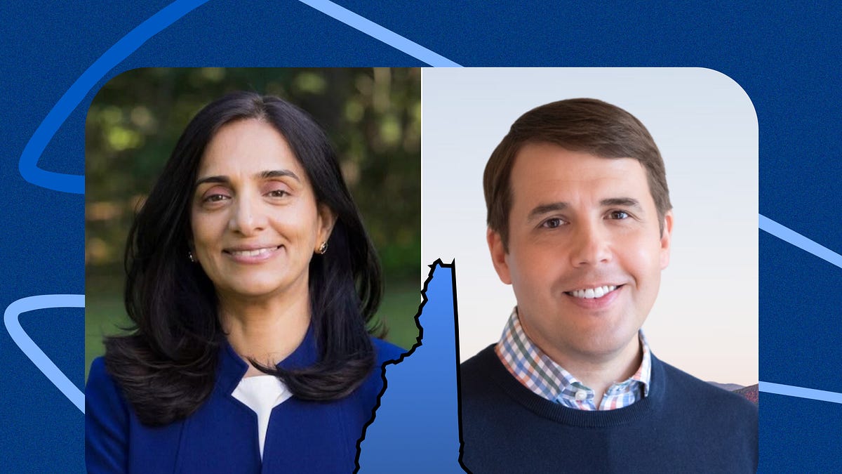 🗳️ Lefty long shot tries to upend the establishment in New Hampshire