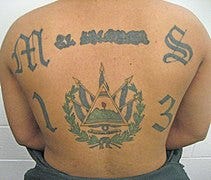 File:MS-13 tattoo 2.jpg