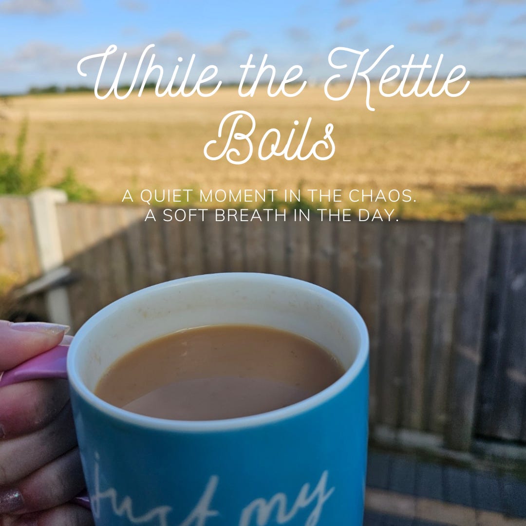 While the Kettle Boils - Following Their Education 