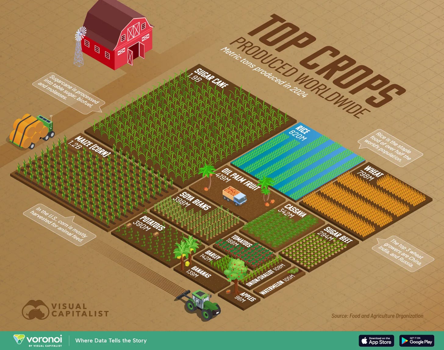 Ranked: The World’s Most Harvested Crops Ranked: The World’s Most Harvested Crops