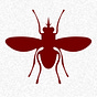 The Skeeter Chronicle's avatar
