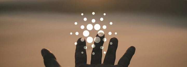 The future of the Cardano Foundation is in the hands of the community The future of the Cardano Foundation is in the hands of the community