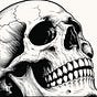 Kill and Die Records's avatar