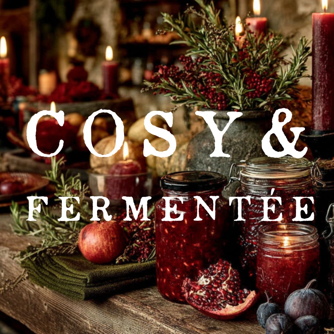 Cosy & fermentée logo