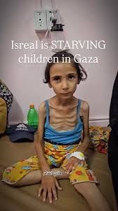 Tamara Taha 🕊 تمارا طه‎ | #repost ...