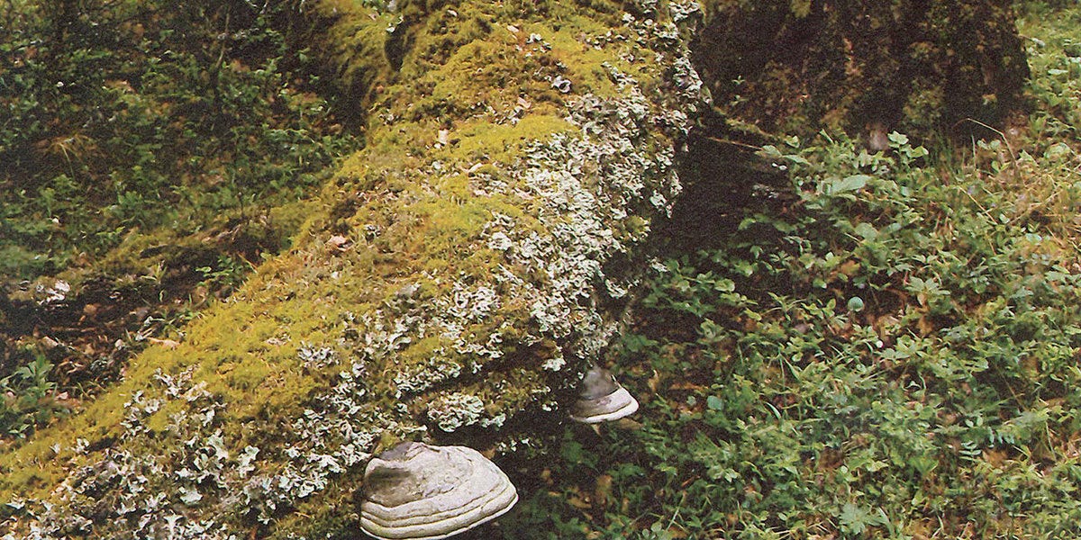 JAN JELINEK/KOSMISCHER PITCH/~SCAPE SC32LP LP