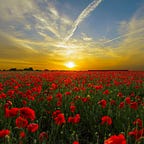 Here Comes the Sun