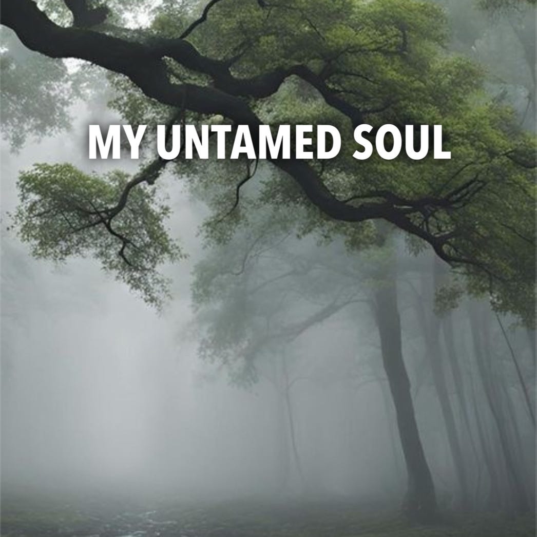 My Untamed Soul Substack
