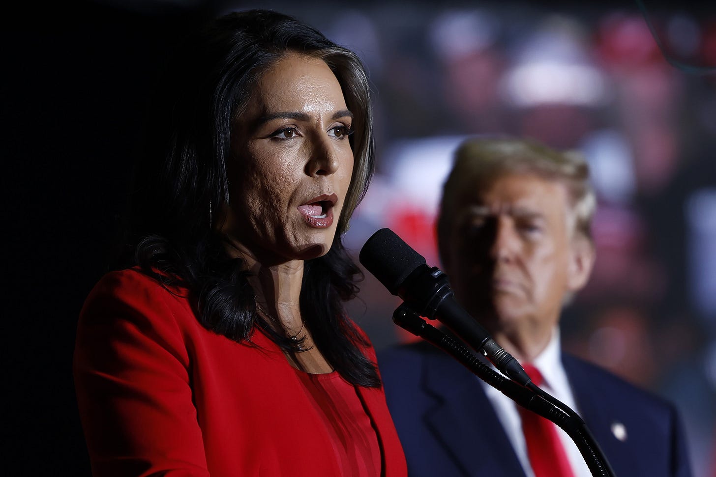 Tulsi Gabbard Is Donald Trump's Pick for Director of National ...