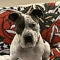 Jeff Medina's avatar