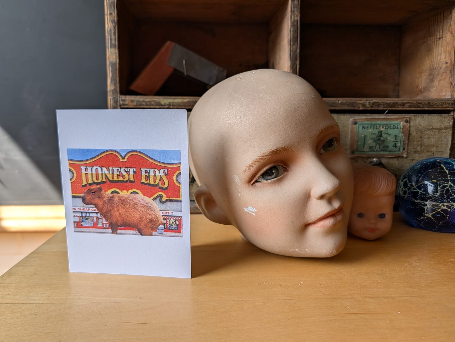 A card showing a capybara outside Honest Ed's in Toronto, propped on a wooden table next to a couple of antique doll heads.