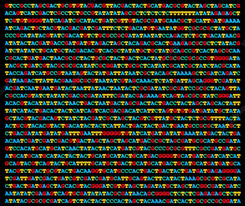 How the US and China Can Cooperate on AI Biorisk