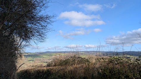 Landscapes and Devon hedgerows