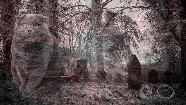 Pet Sematary