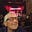 Pamela Spevack's avatar