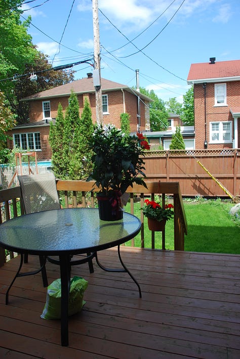 A nine-image gallery grid. Top row, left to right: geraniums and other flowers in a yard, a view of hills from the top of a ridge, a rainbow in a neighborhood. Middle row, left to right: Potted plants on a backyard patio, looking through trees to a river and a small village on the far side of the river, an abundant backyard garden. Bottom row, left to right: a chipmunk perched on the edge of a large metal dog bowl, getting a drink, graffiti on a train car, two magpies on a wire fence.