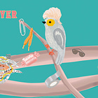 Birds, the O.G Macgyvers