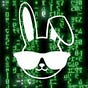 DMSO SHOW's avatar