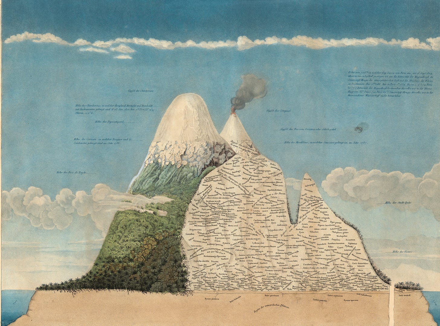 Humboldt’s diagram of plant zones on Chimborazo and nearby Cotapaxi