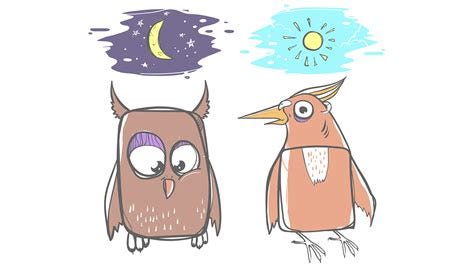 Are You A Night Owl Or An Early Bird? | 2023 Free & Honest Quiz ...