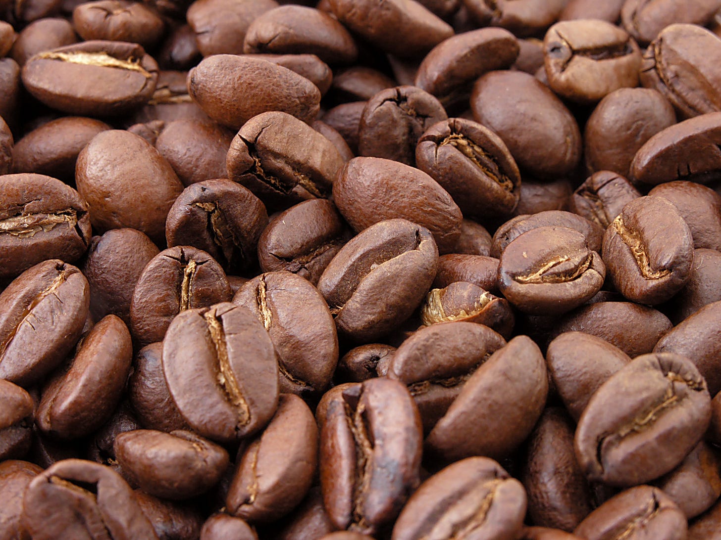 A bunch of roasted coffee beans, taken from Wikipedia. A bunch of roasted coffee beans, taken from Wikipedia.