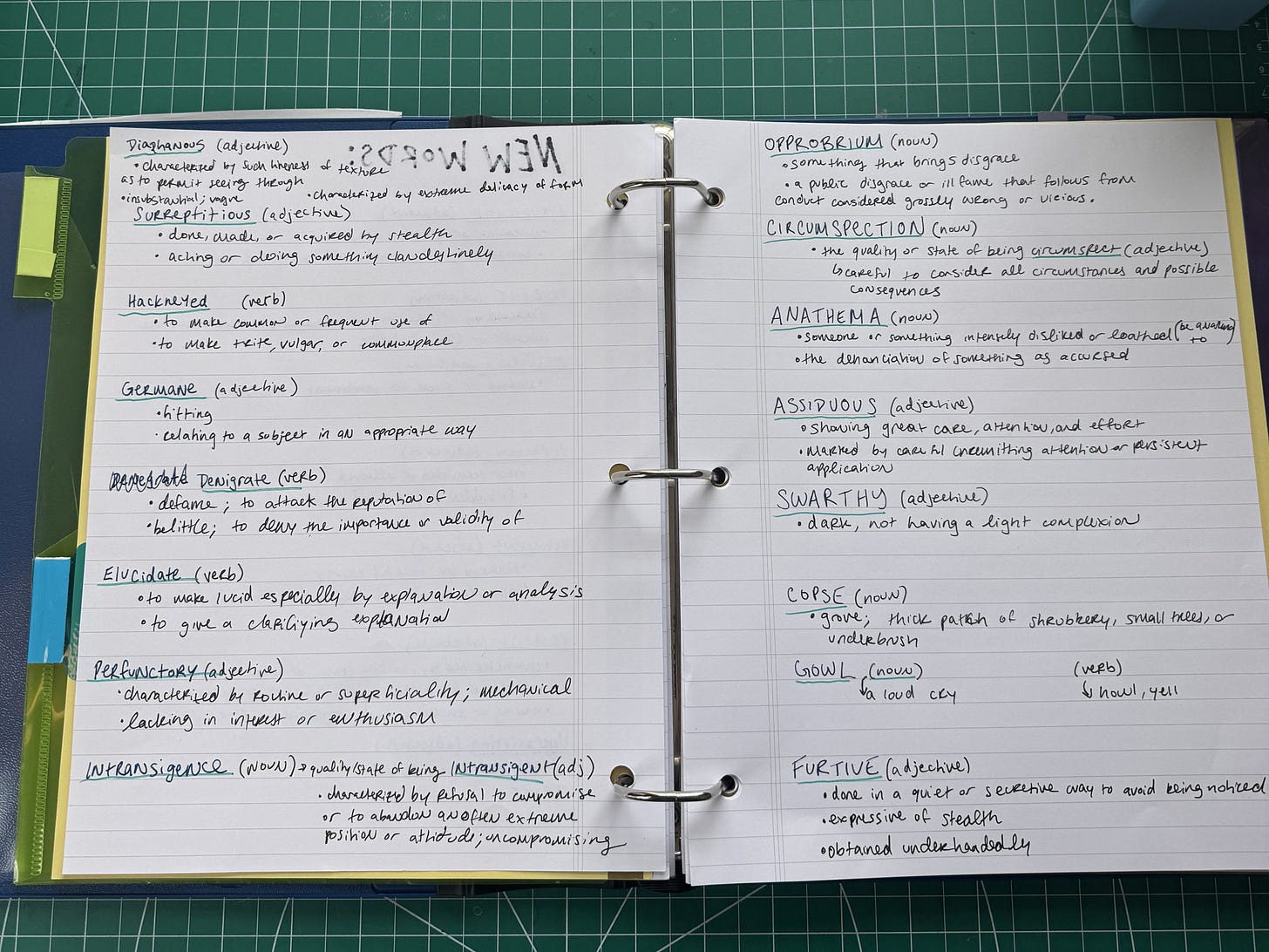 An open binder photographed from above, its pages filled with words and their definitions.