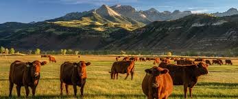 Colorado is the Best State to Own a Ranch Colorado is the Best State to Own a Ranch