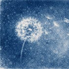 El bosque no tiene oídos, el campo no tiene ojos