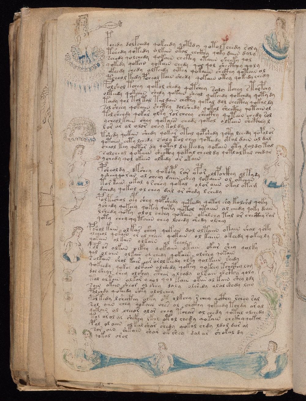 Manoscritto Voynich, f. 80v
