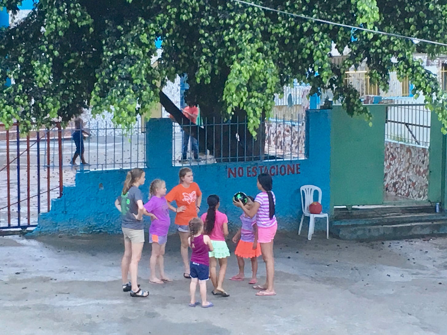 IMG_2519.jpg IMG_2519.jpg