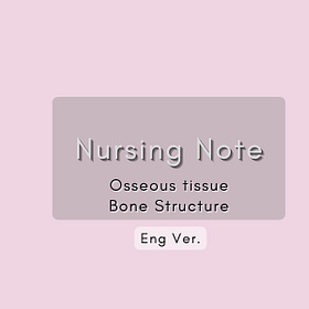✨ Nursing Note A&P – Osseous tissue and Bone Structure✨