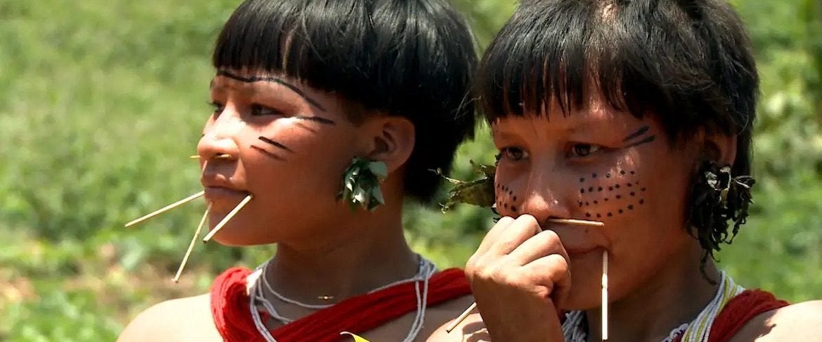 yanomami capa