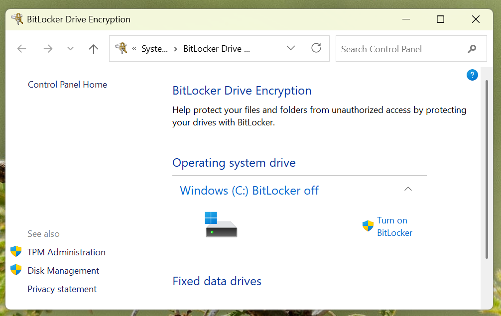 BitLocker Drive Encryption