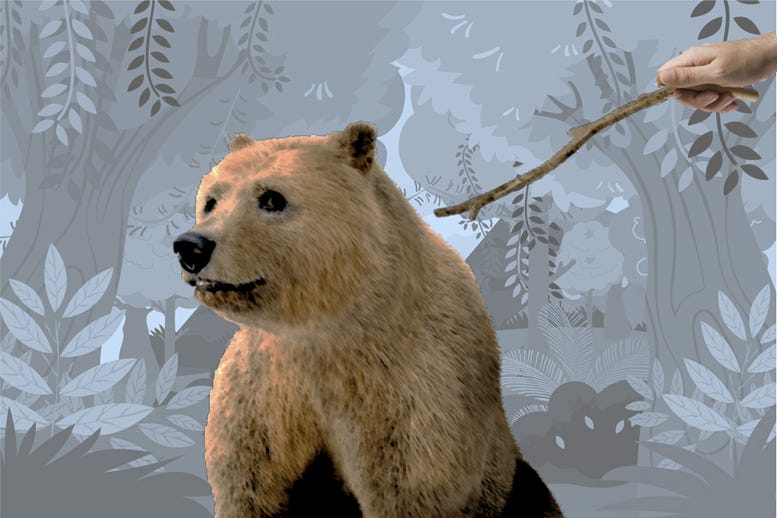 A SYSTEM TEST (Part 3). Poking the bear: the logic of my research approach and test