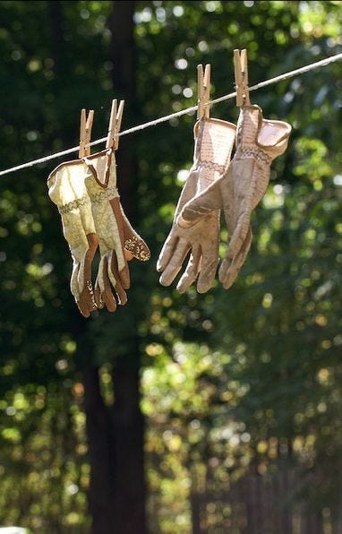This may contain: two pairs of gloves hanging on a clothes line with trees in the backround