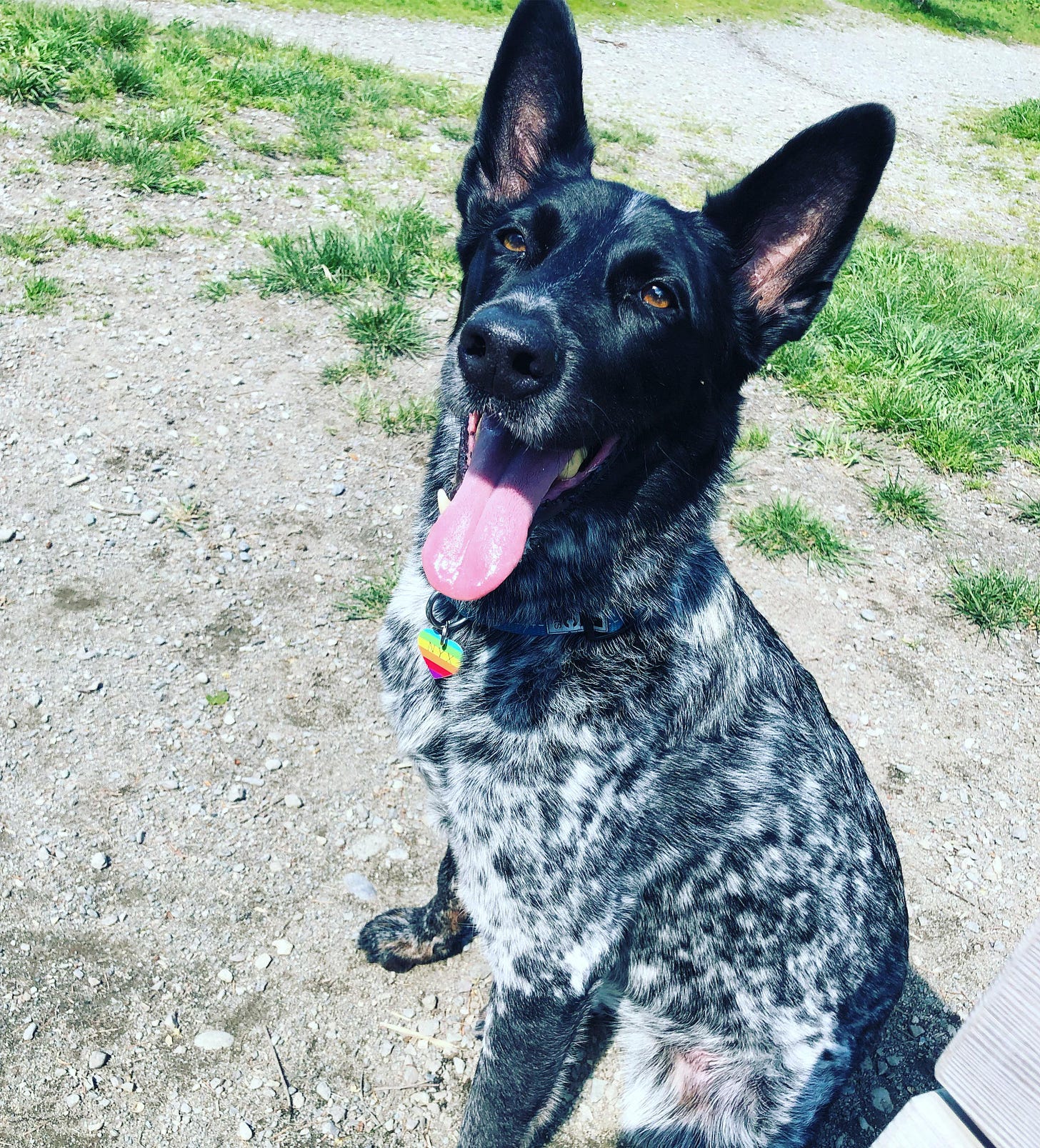 No description available.