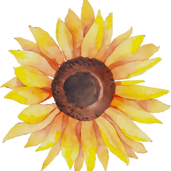 Adventures in Writing