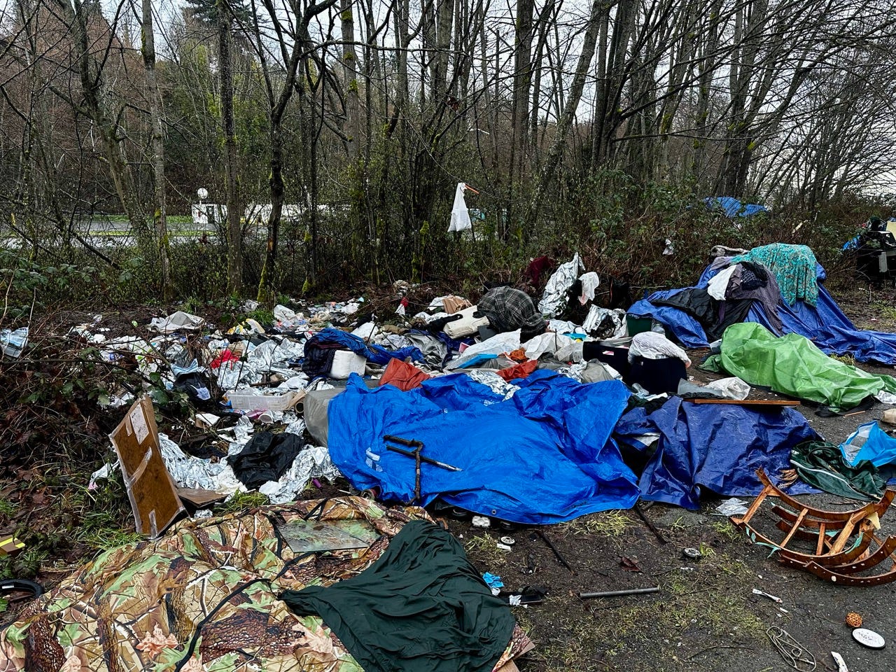 A pile of garbage in the woods
Description automatically generated A pile of garbage in the woods
Description automatically generated