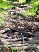 Journey to Abundant Living - Part II: Prosperity through Obedience - Embracing God's Favor and Well-Being