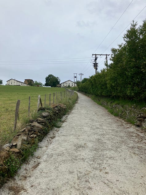 paved promenade curving along waterfront cliffs, a cobblestone path, a dirt road through farmland
