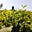 Edwin Ngetich's avatar