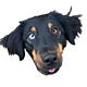 Dog Lover's Guide to Feeling Better