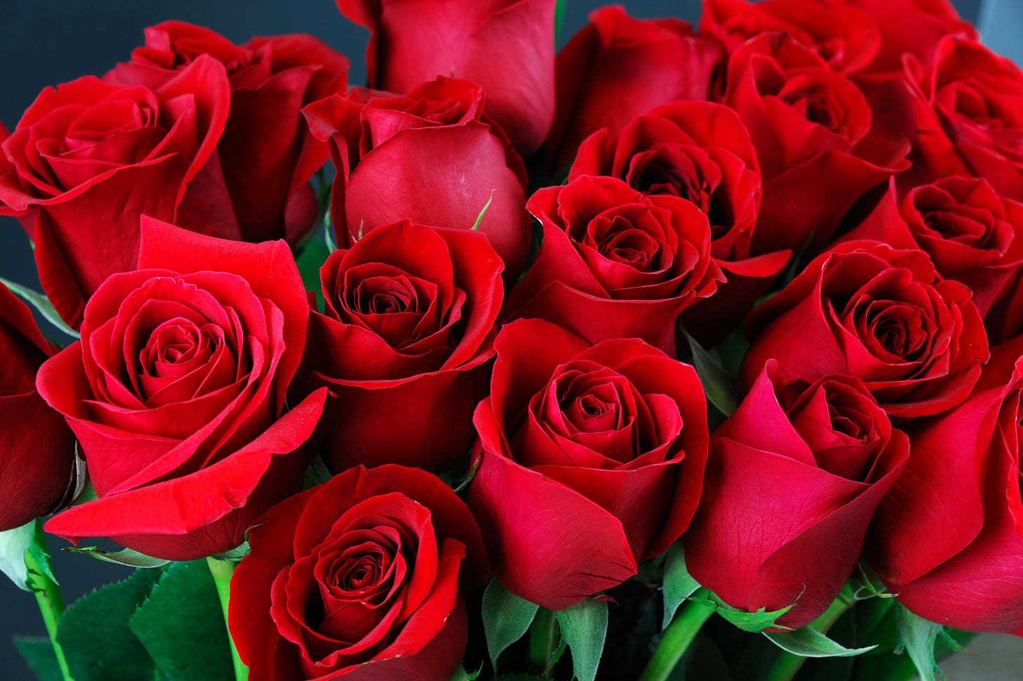 Roses Meaning & Symbolism: What Roses Signify | Bouqs Blog