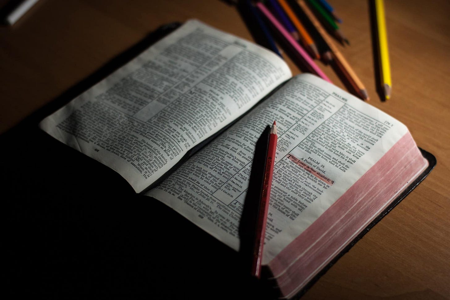 The BEST Study Bible In 2023 (Ultimate Guide)