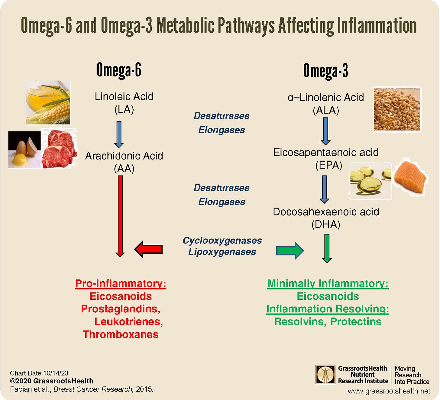 Higher Levels of Omega-3 Fatty Acids Shown to Reduce Risk of Breast ...