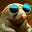 Ollie The Golden Mole's avatar