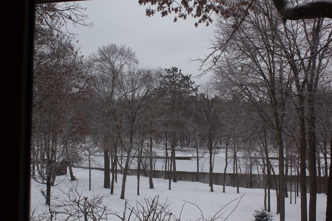 A snowy landscape with trees and a river

Description automatically generated