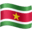 🇸🇷